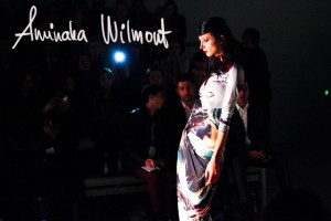Aminaka Wilmont