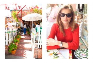 The Ivy