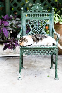 Ernest Hemingway Garden