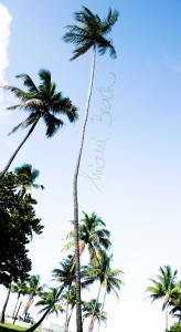 miami-beach w