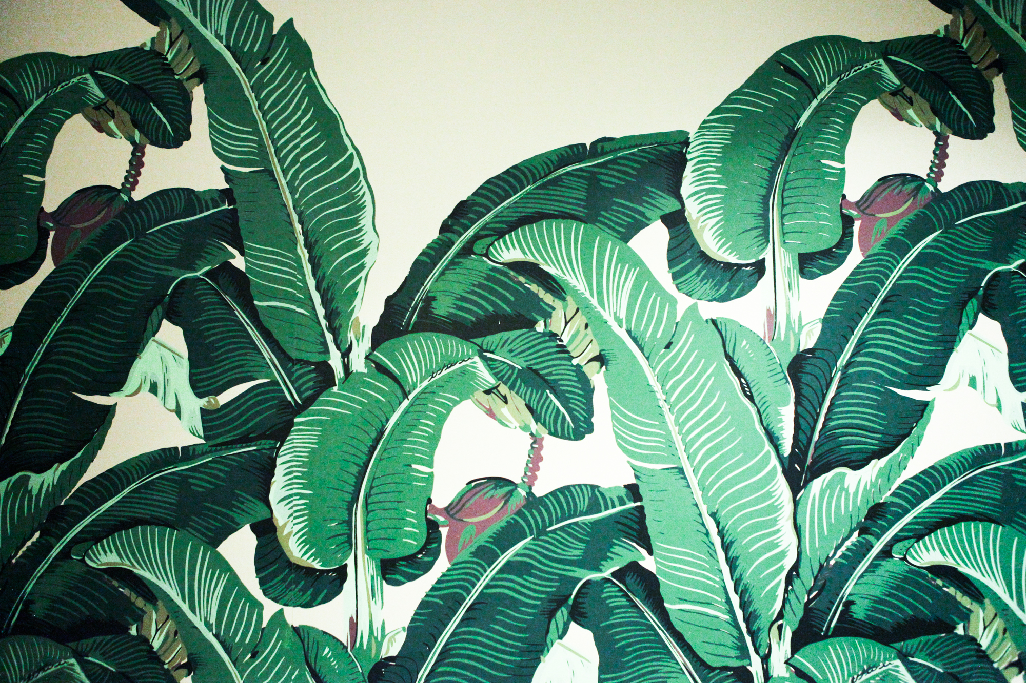Palm Leaf and Bananas | ADELA CAPOVA